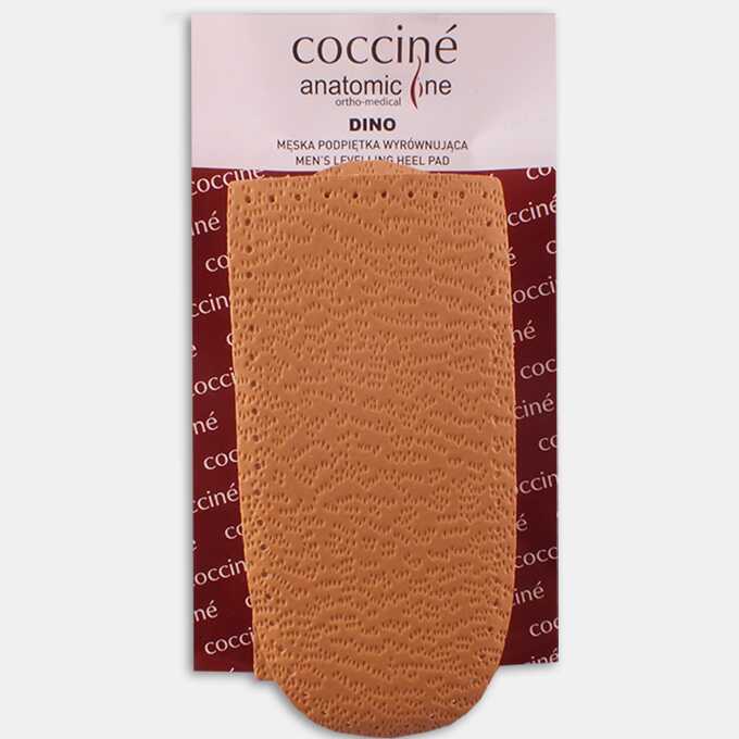 50a9582f-19b0-480c-9214-da81194e849f