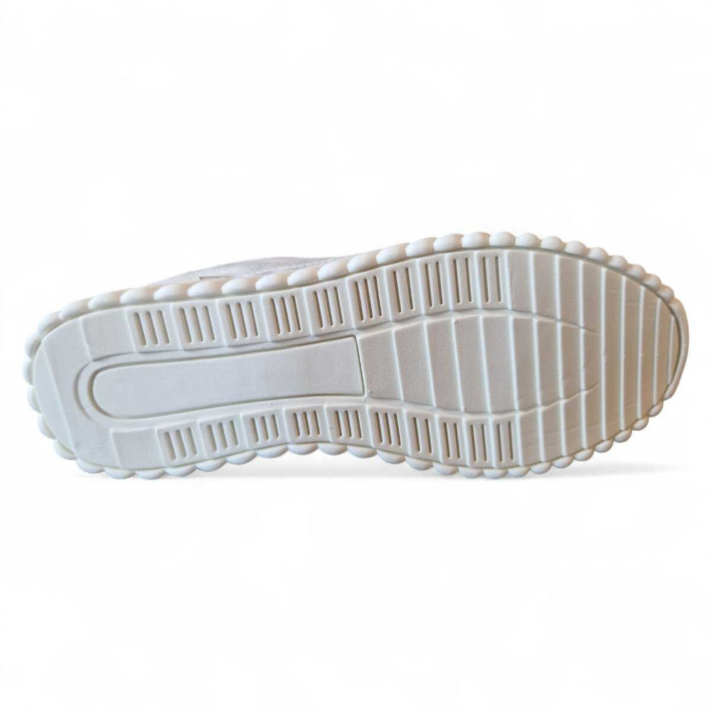 13c6a88c-2c3b-41d6-8283-27f9f26f0a35