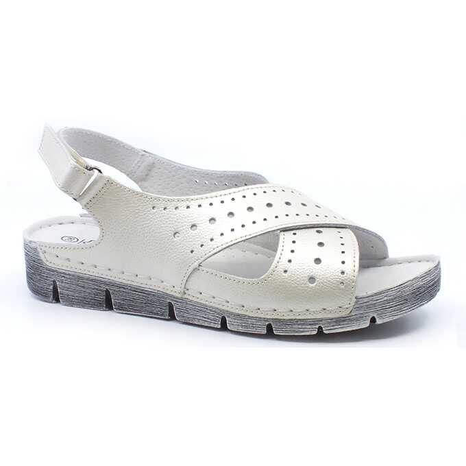 95afa1e3-54d2-402a-9873-3e5094119135