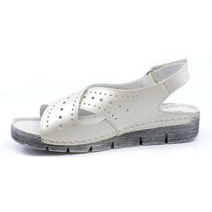 c2bd5f42-757c-422d-a151-ac575d9049ac