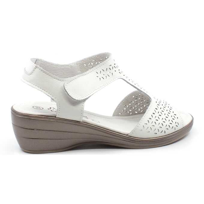 e13daaa5-ec26-4c48-98d0-e72fb7254d63