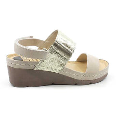 1156ce88-4456-4fff-b589-a217f369c006