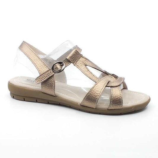 c8d31b72-f09e-420d-8658-17da38a1d2bf