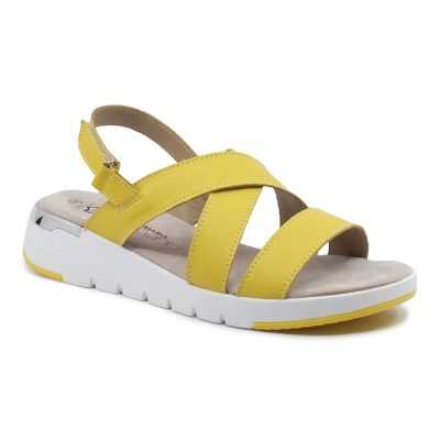 c0655f3c-ea90-4beb-bf5a-3529bc964ddd