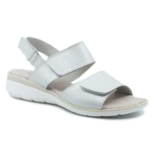 bcd508de-ac45-42a0-8e18-650892c24caa