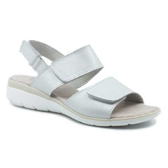 bcd508de-ac45-42a0-8e18-650892c24caa