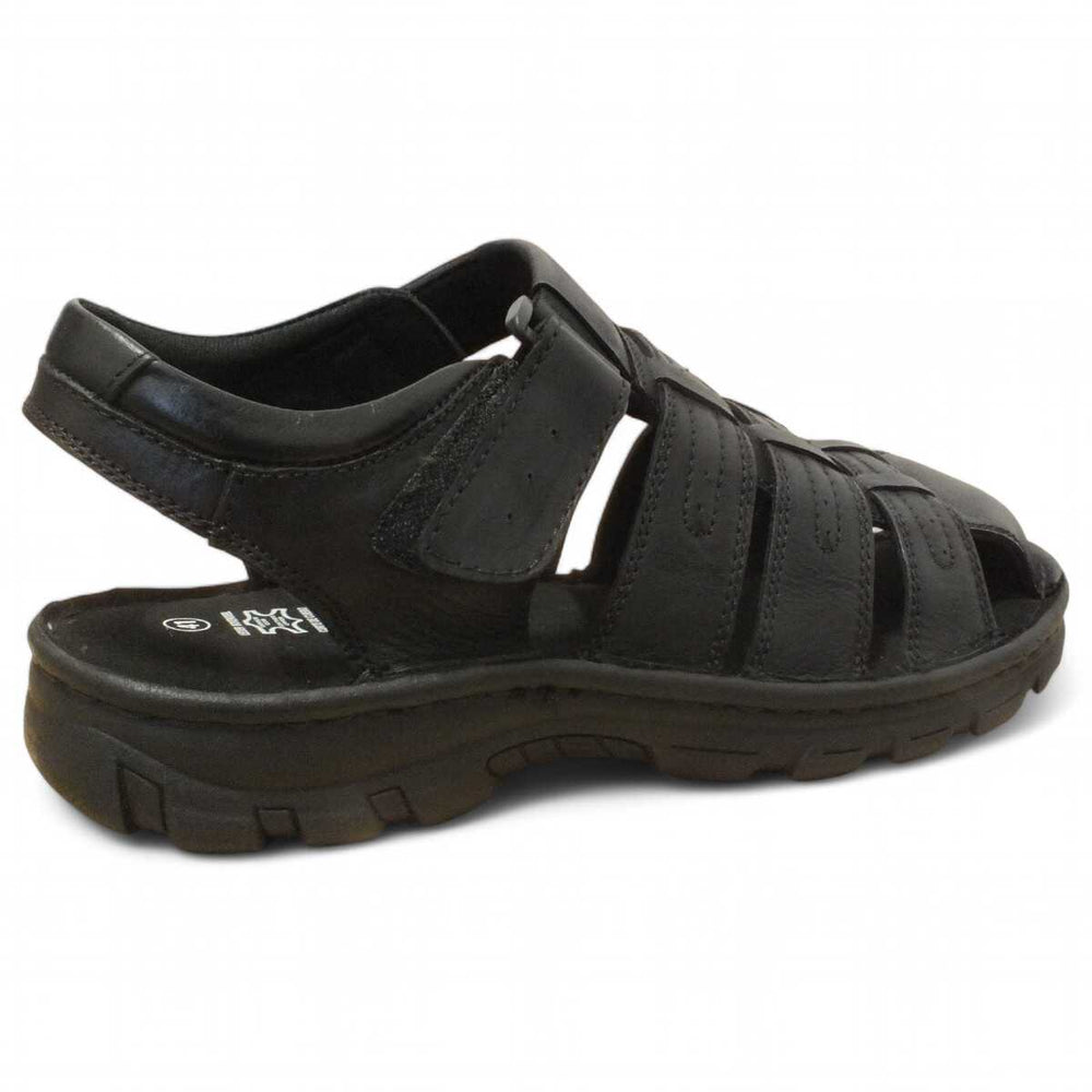 d908204c-c452-4816-890f-08afa319a2f5