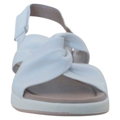 209027f2-8af2-4e73-a646-52f35fc6d10a