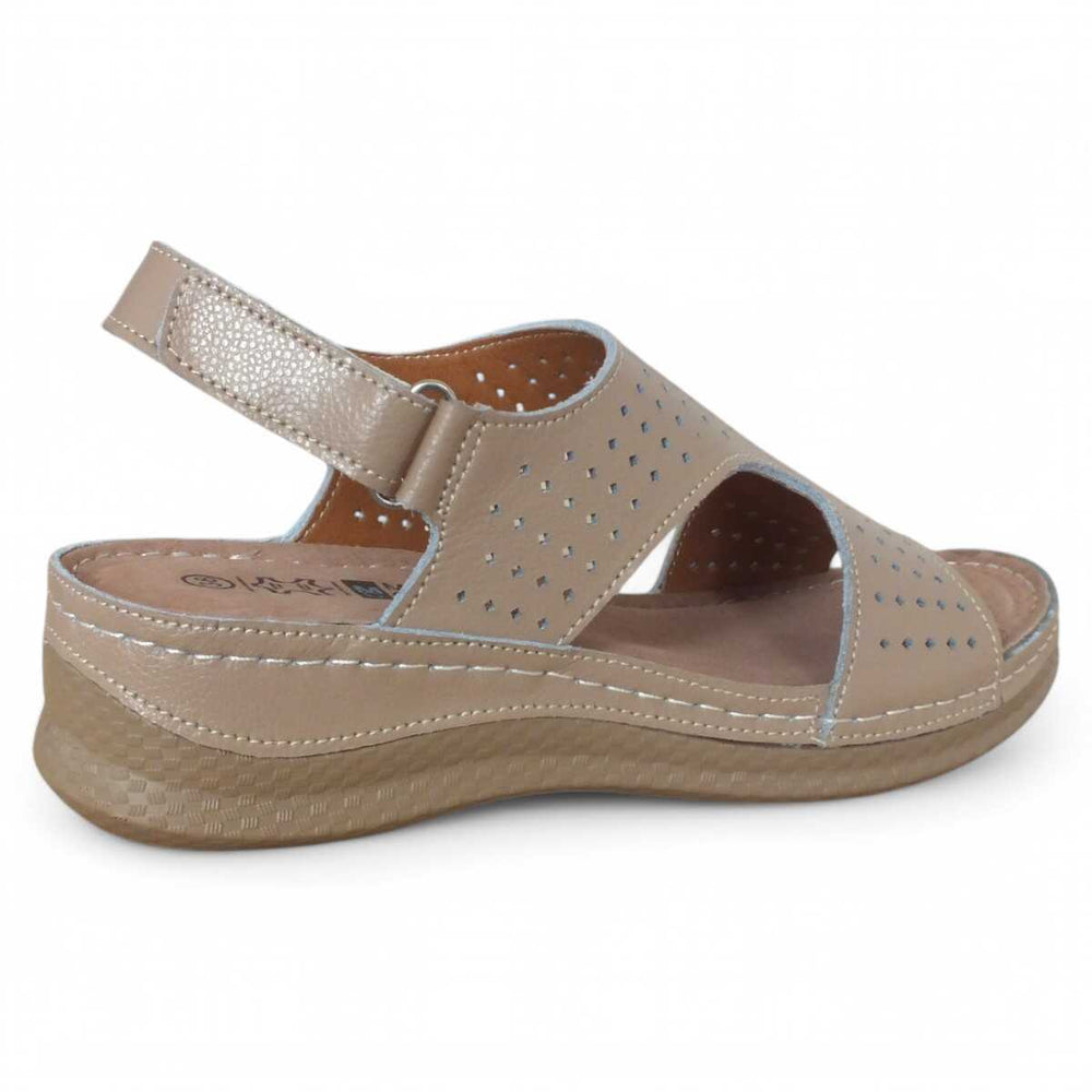 8ef17242-4802-489e-b013-39870c02e4f4