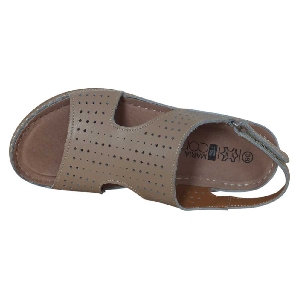 337cec46-2a7e-4e6a-afc8-443ad11c7455