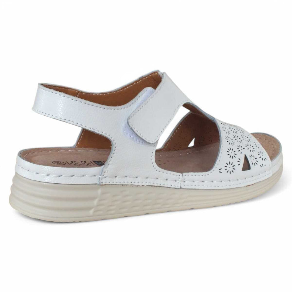 d601be89-1671-4669-bff1-022576f3e22c