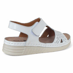 d601be89-1671-4669-bff1-022576f3e22c