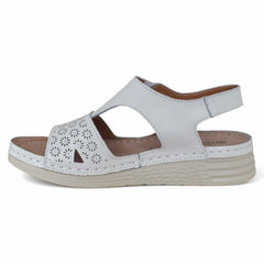 77ac1ef3-4a14-407e-af17-ff13a0533bb2