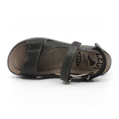 66e4e539-ad91-4569-a893-c0e14701ffc1