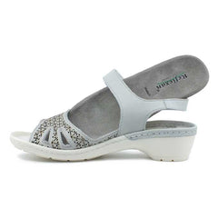 2ddb501a-972b-4786-a931-a17868f8b78a