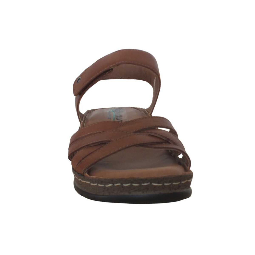 0df02b41-2e64-4d02-bc88-034ac1fd5603