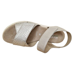 1ef101db-0486-498a-a236-453fe29cf0d0