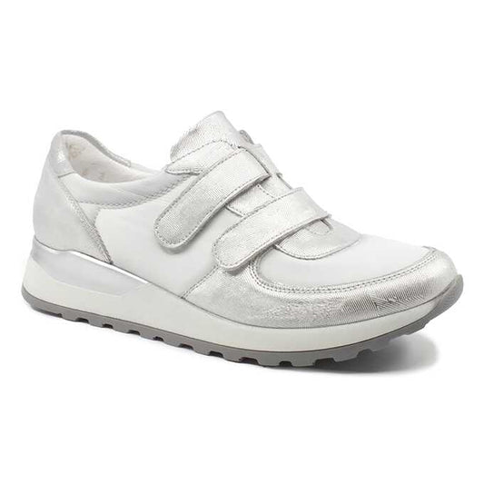 c36cbc1e-a539-41a4-9136-9b29457c544c